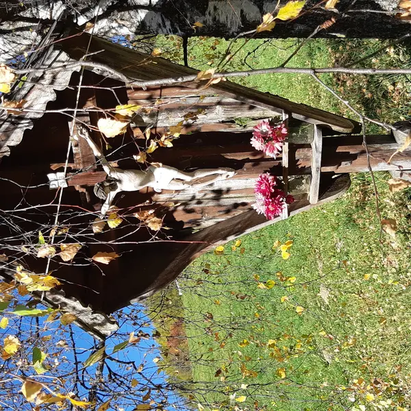 2020 Vorher Rauta Kraizl